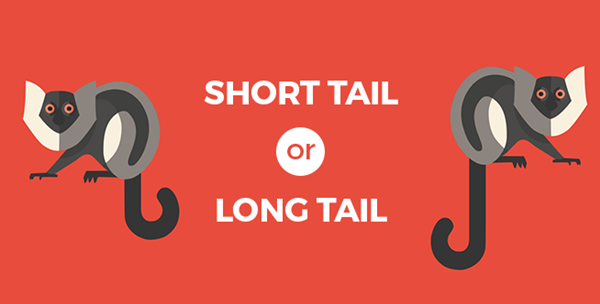Short tail vs Long tail zoekwoorden